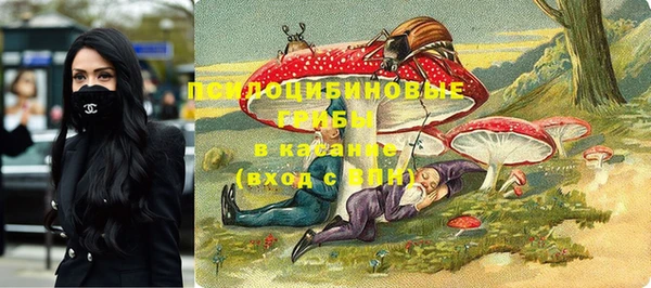 спиды Алексеевка
