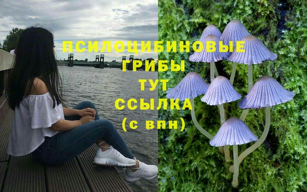 спиды Алексеевка